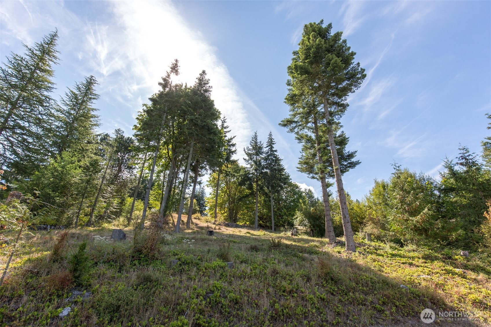 346 Ravens Ridge Road Property Photo 16
