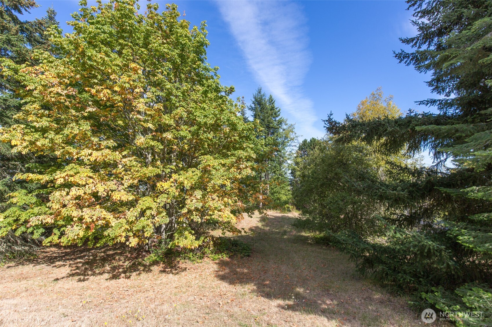 346 Ravens Ridge Road Property Photo 18