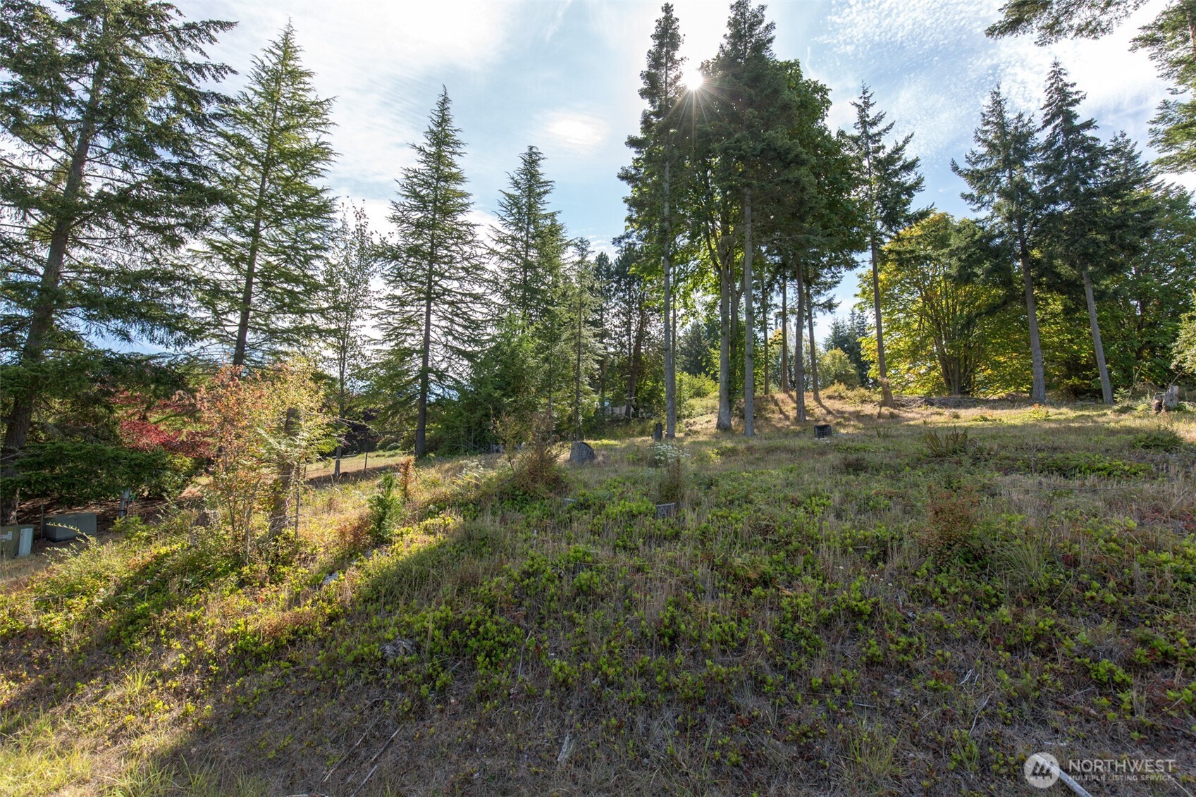 346 Ravens Ridge Road Property Photo 19