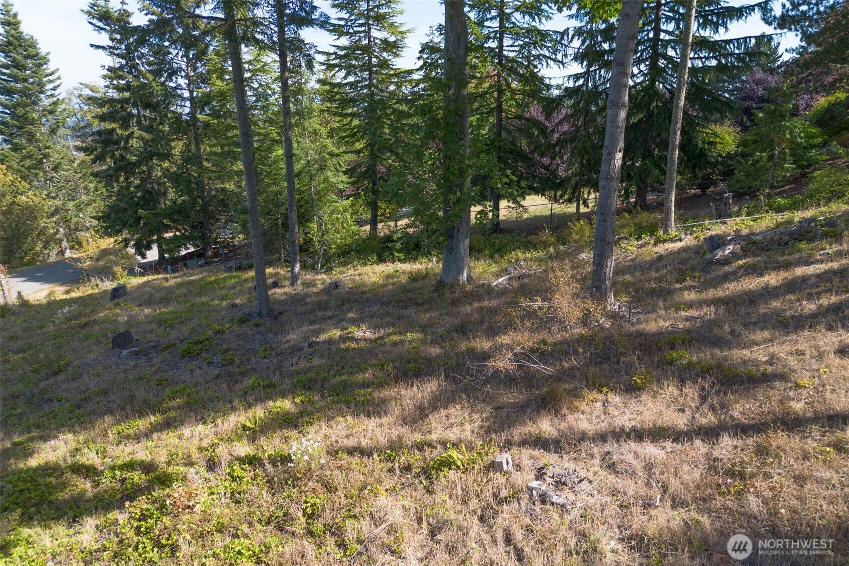 346 Ravens Ridge Road Property Photo 20