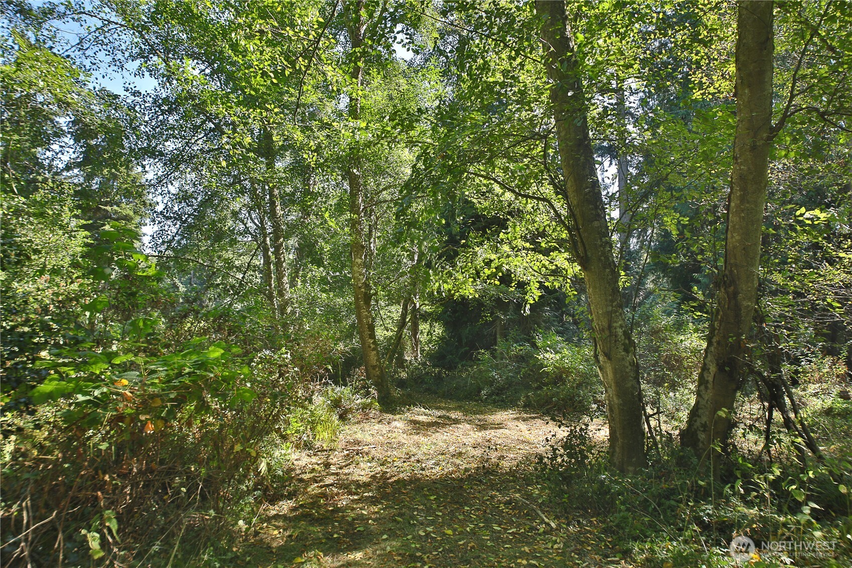 2 Scenic Avenue Property Photo 2