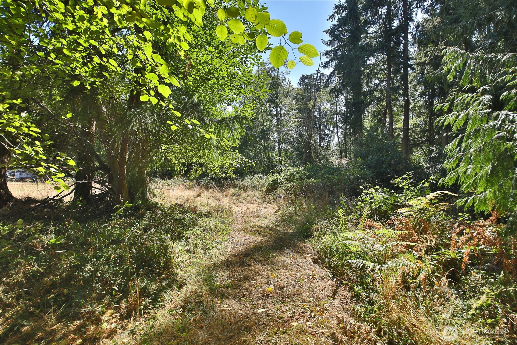 2 Scenic Avenue Property Photo 3
