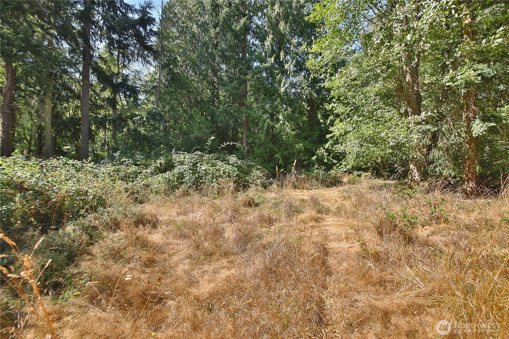 2 Scenic Avenue Property Photo 4