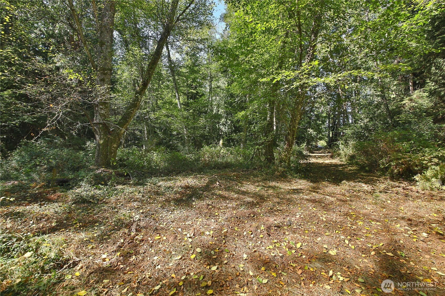 2 Scenic Avenue Property Photo 6
