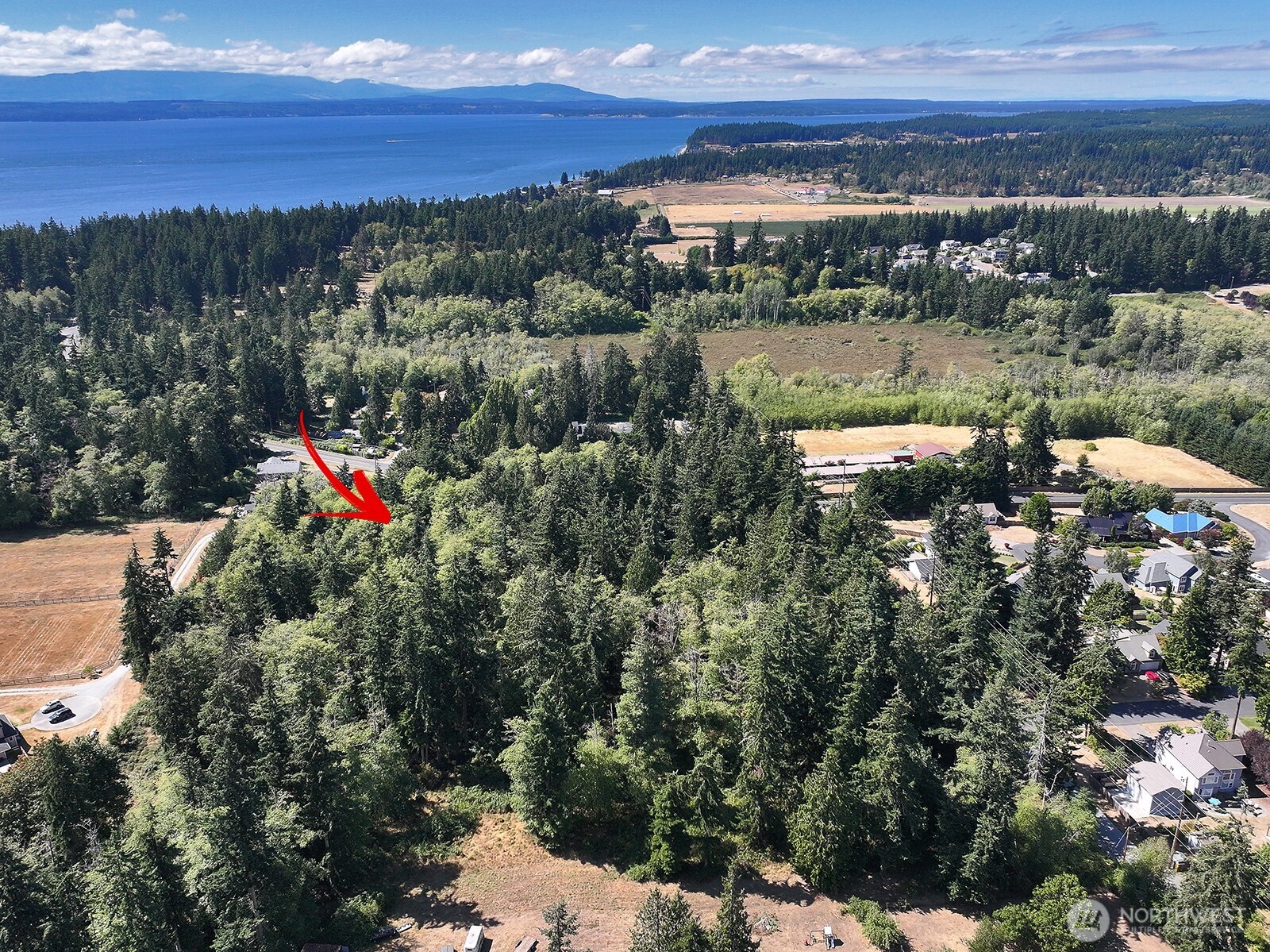 2 Scenic Avenue Property Photo 9