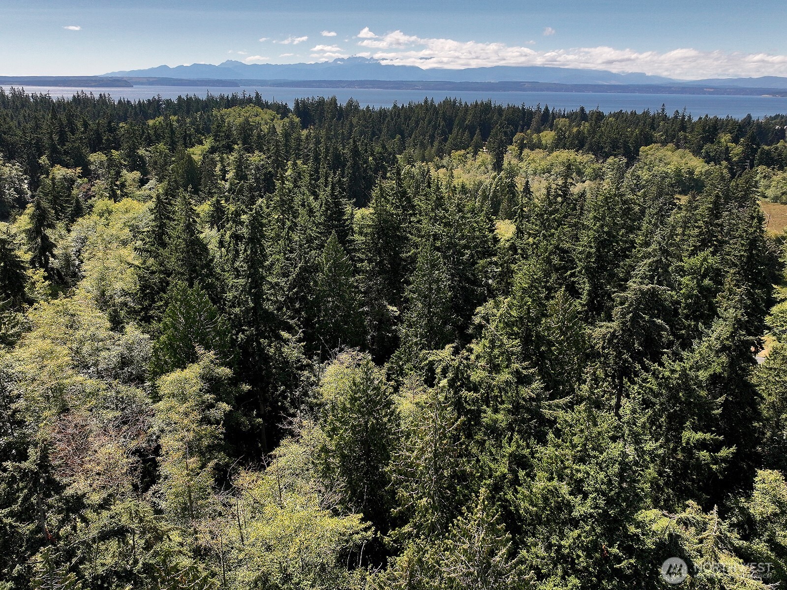 2 Scenic Avenue Property Photo 13