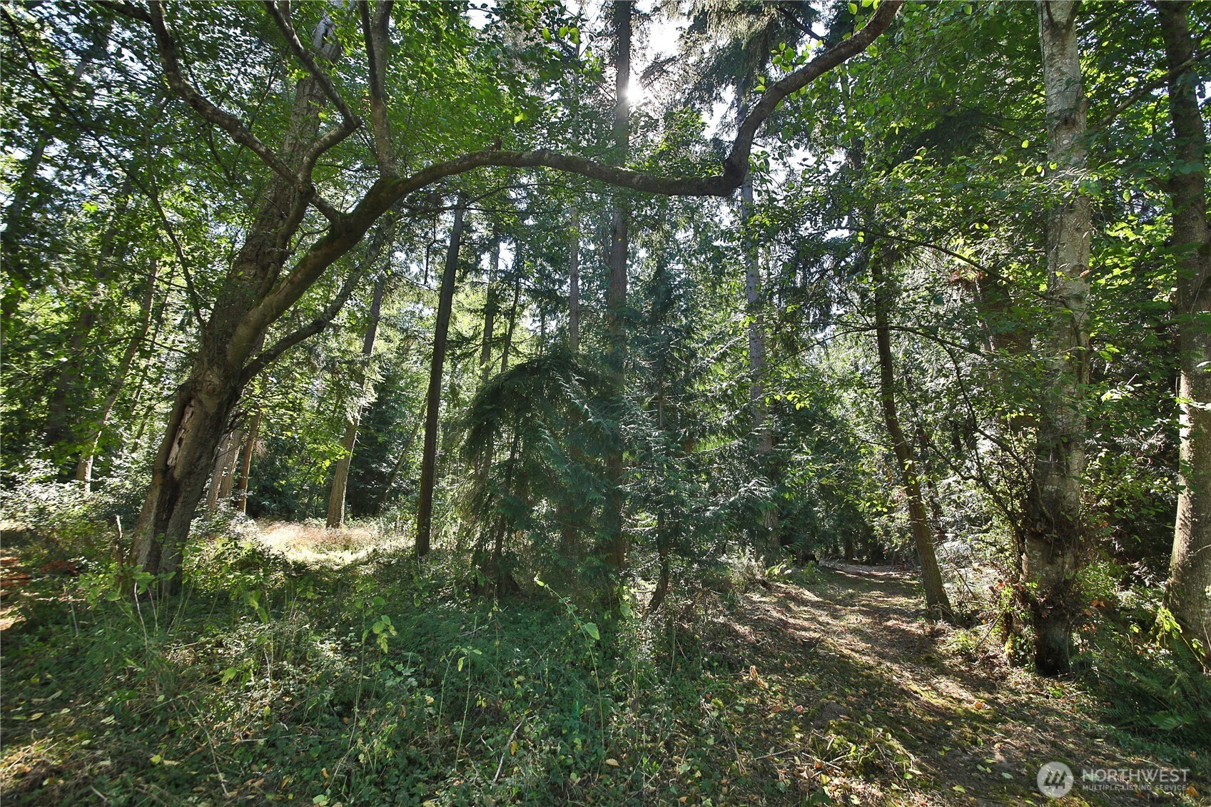 2 Scenic Avenue Property Photo 14