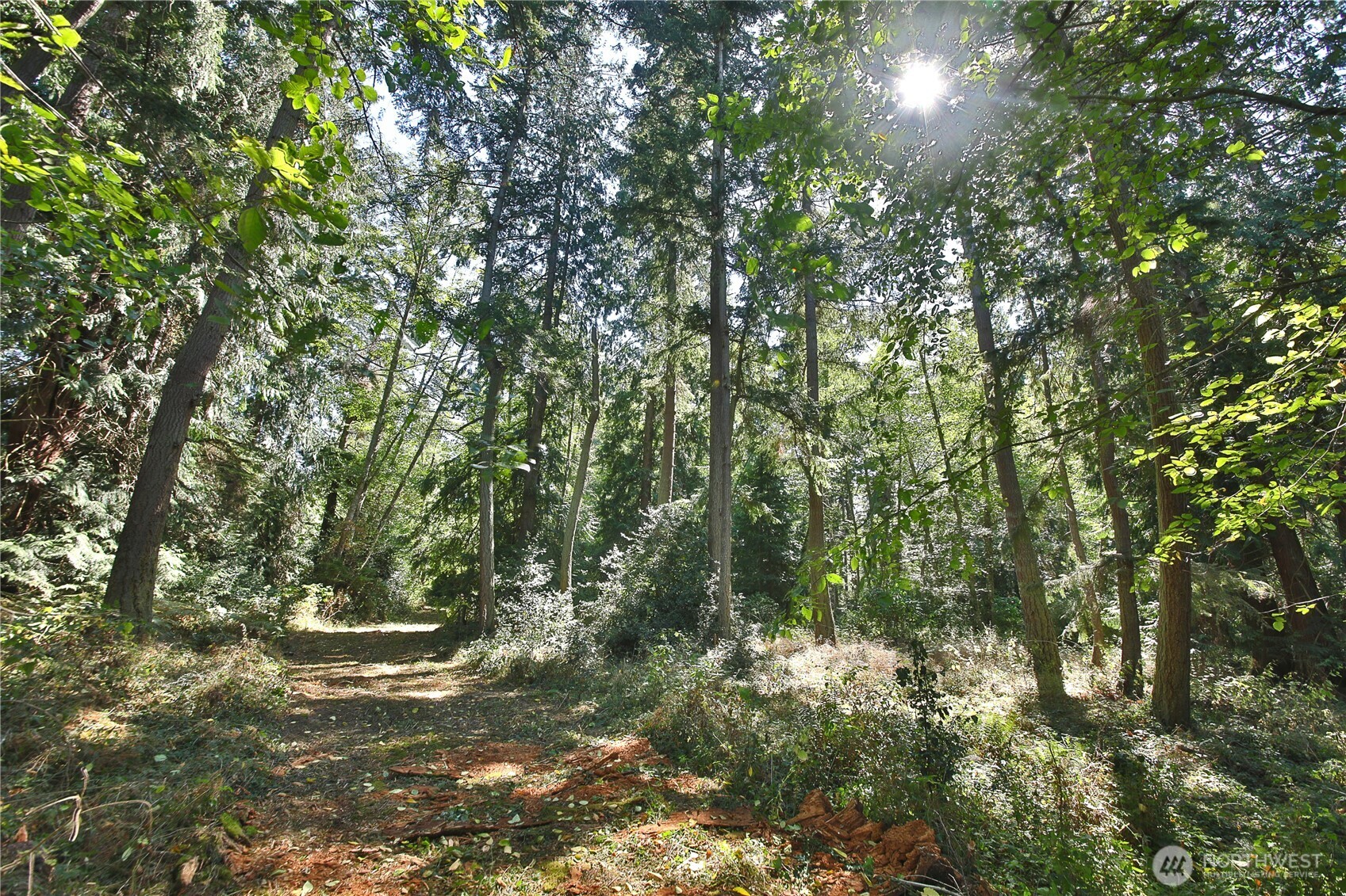 2 Scenic Avenue Property Photo 15