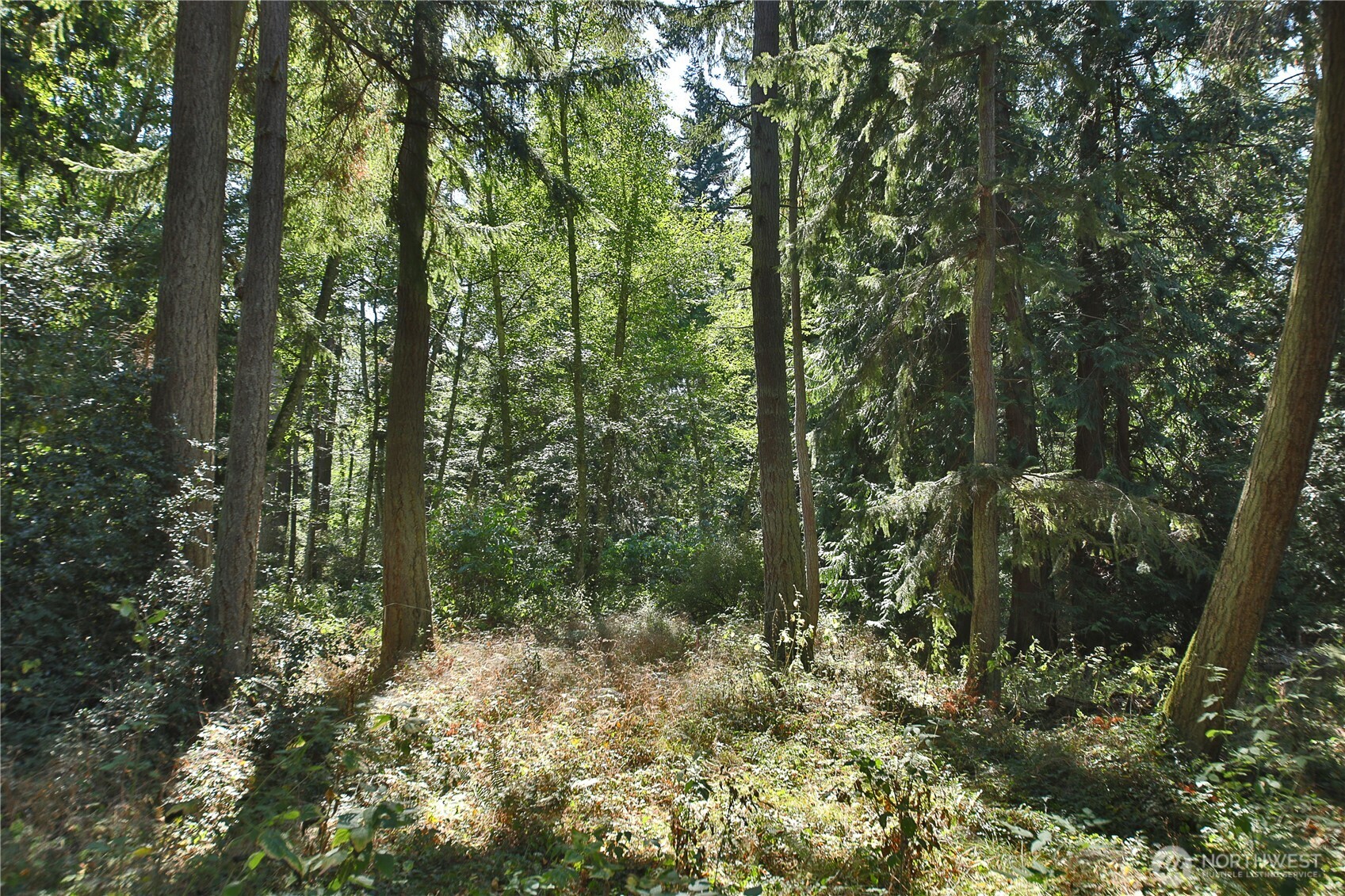 2 Scenic Avenue Property Photo 16