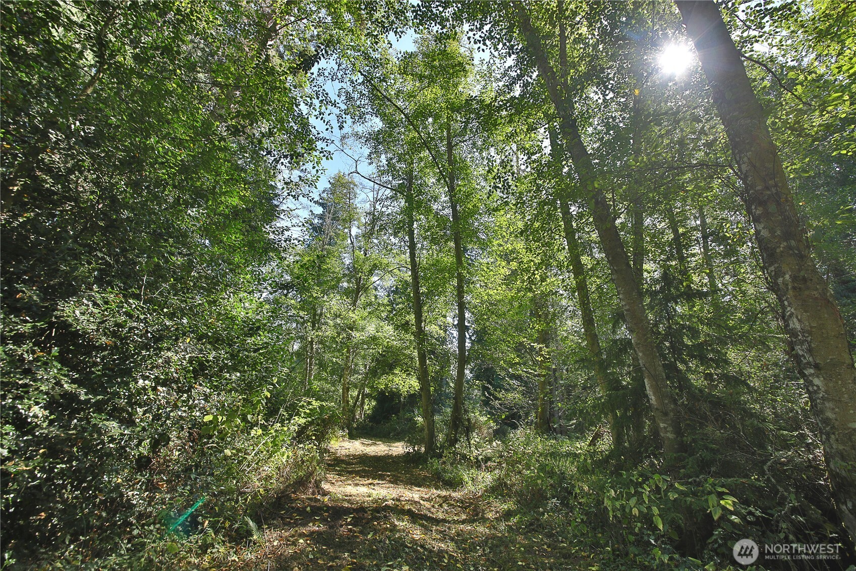 2 Scenic Avenue Property Photo 17