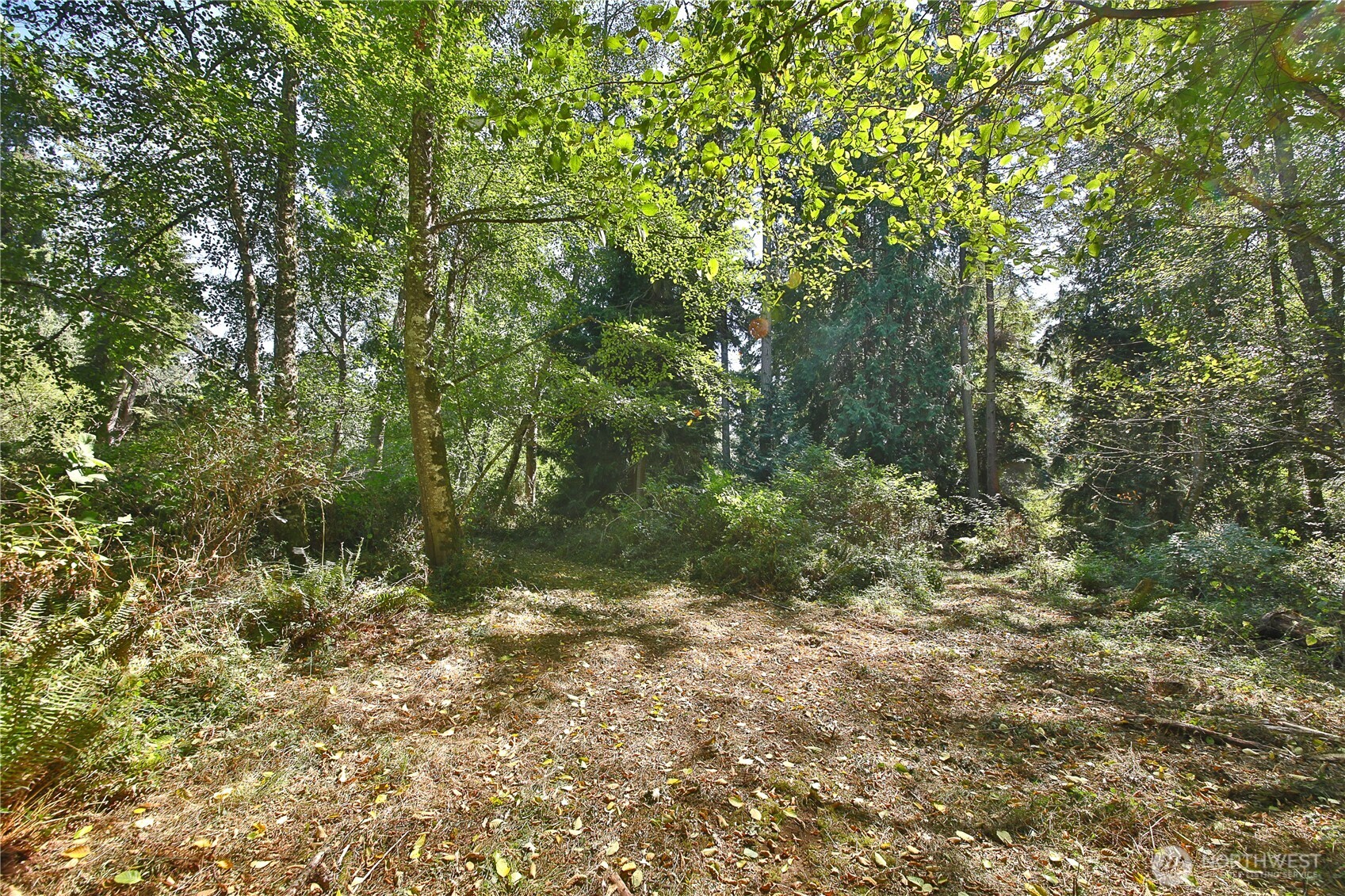 2 Scenic Avenue Property Photo 18
