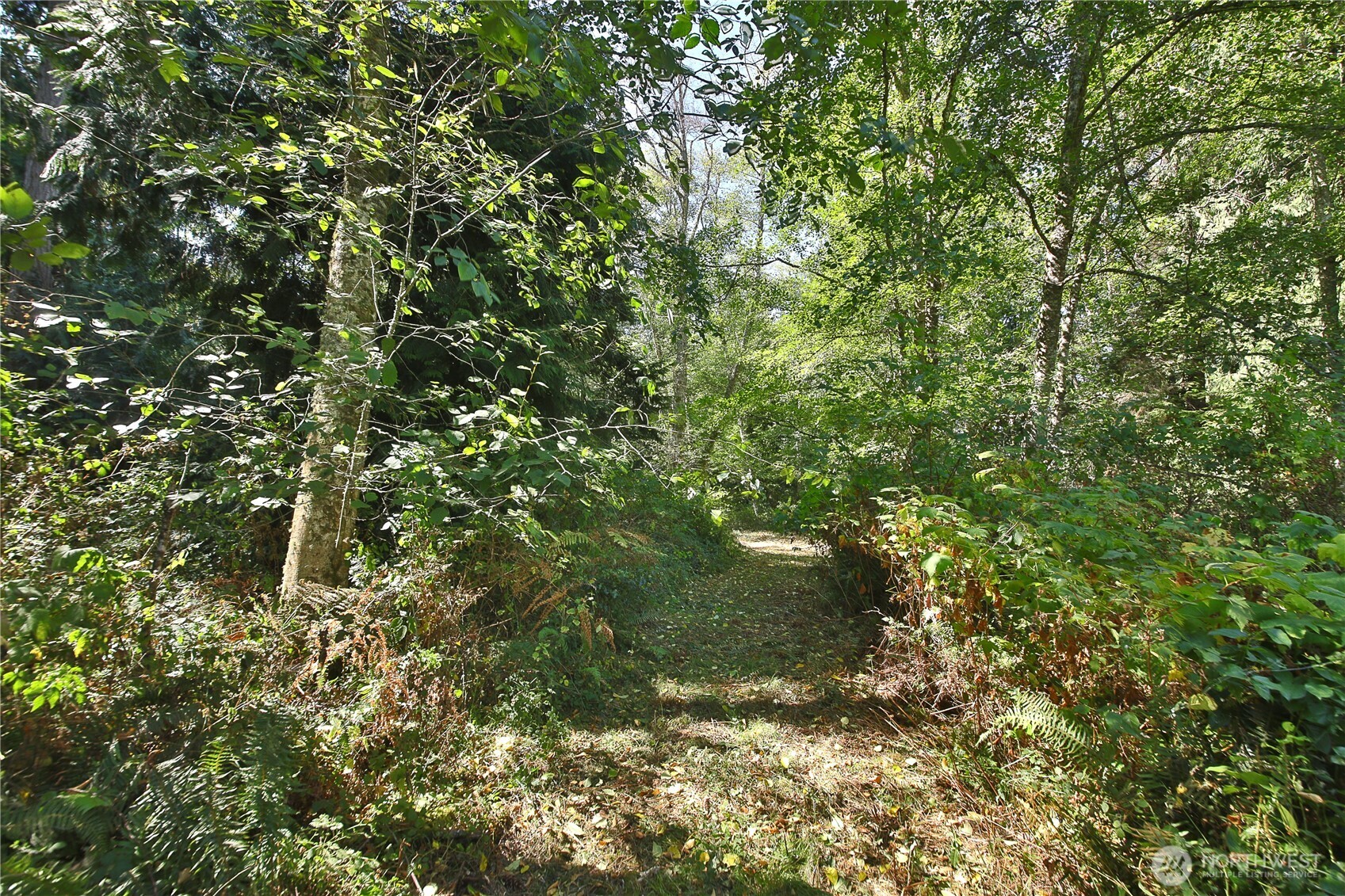 2 Scenic Avenue Property Photo 19