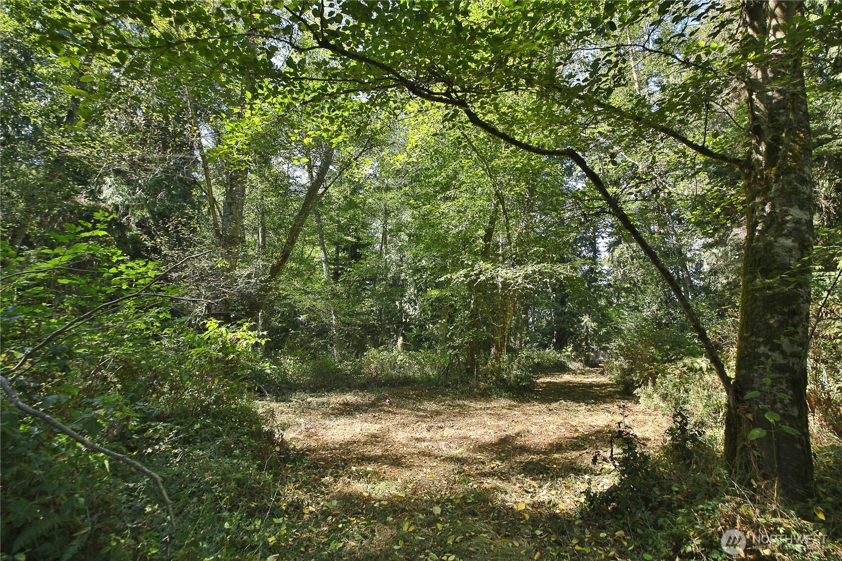 2 Scenic Avenue Property Photo 20