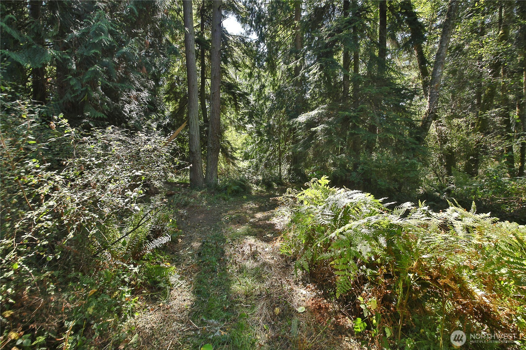 2 Scenic Avenue Property Photo 21
