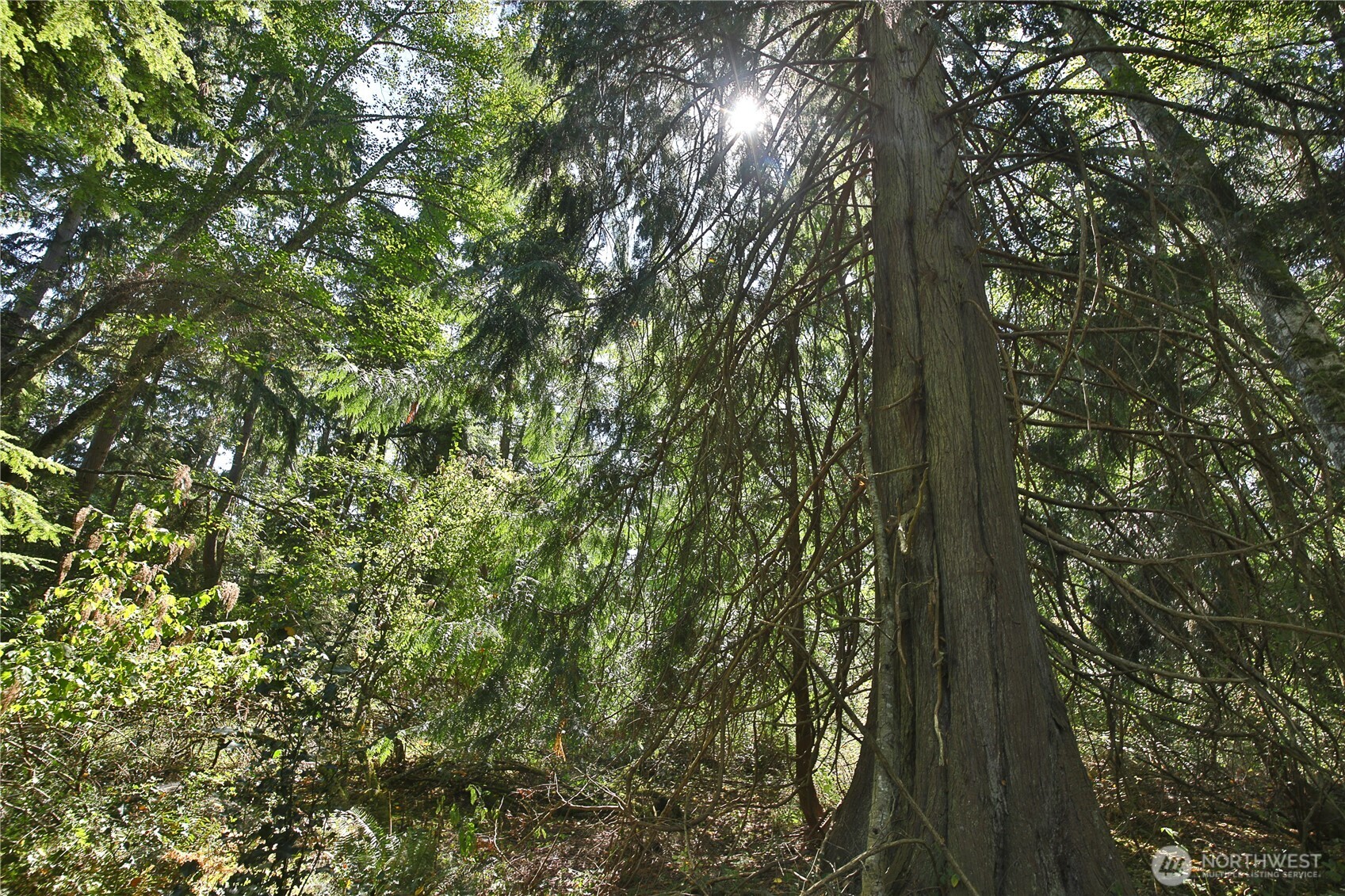 2 Scenic Avenue Property Photo 22