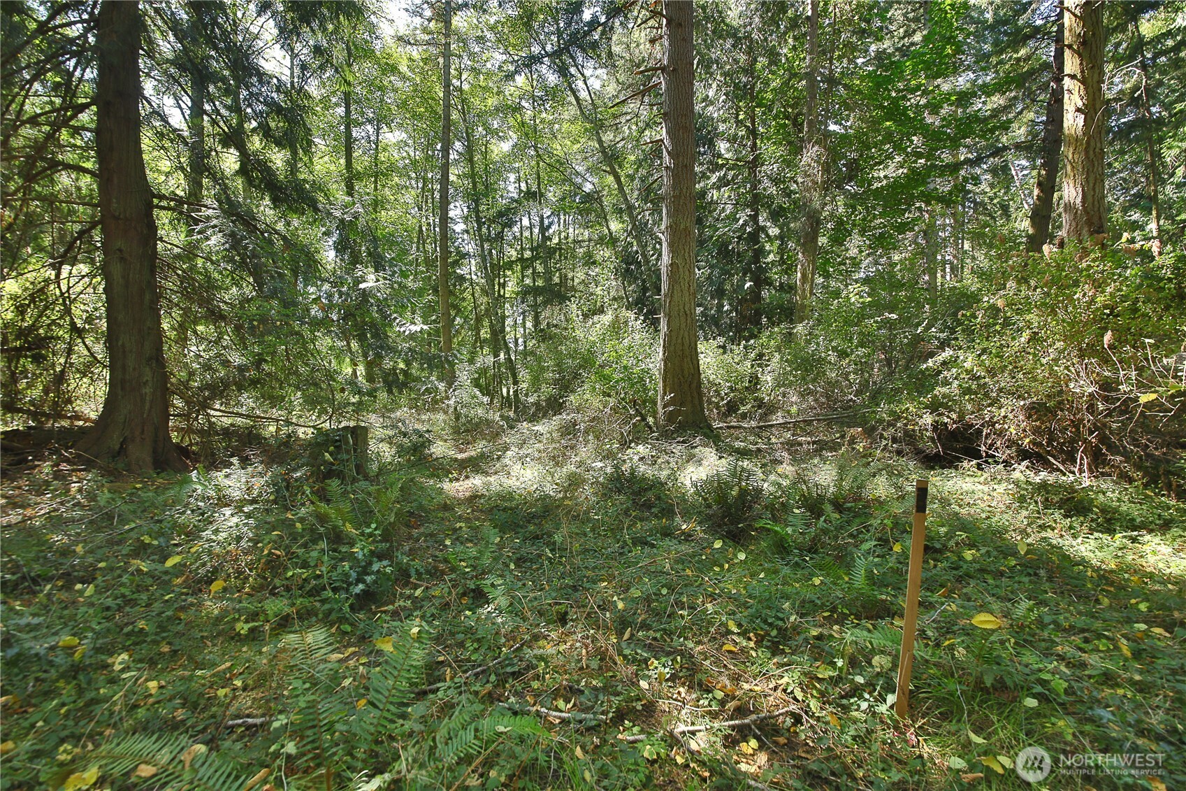 2 Scenic Avenue Property Photo 23