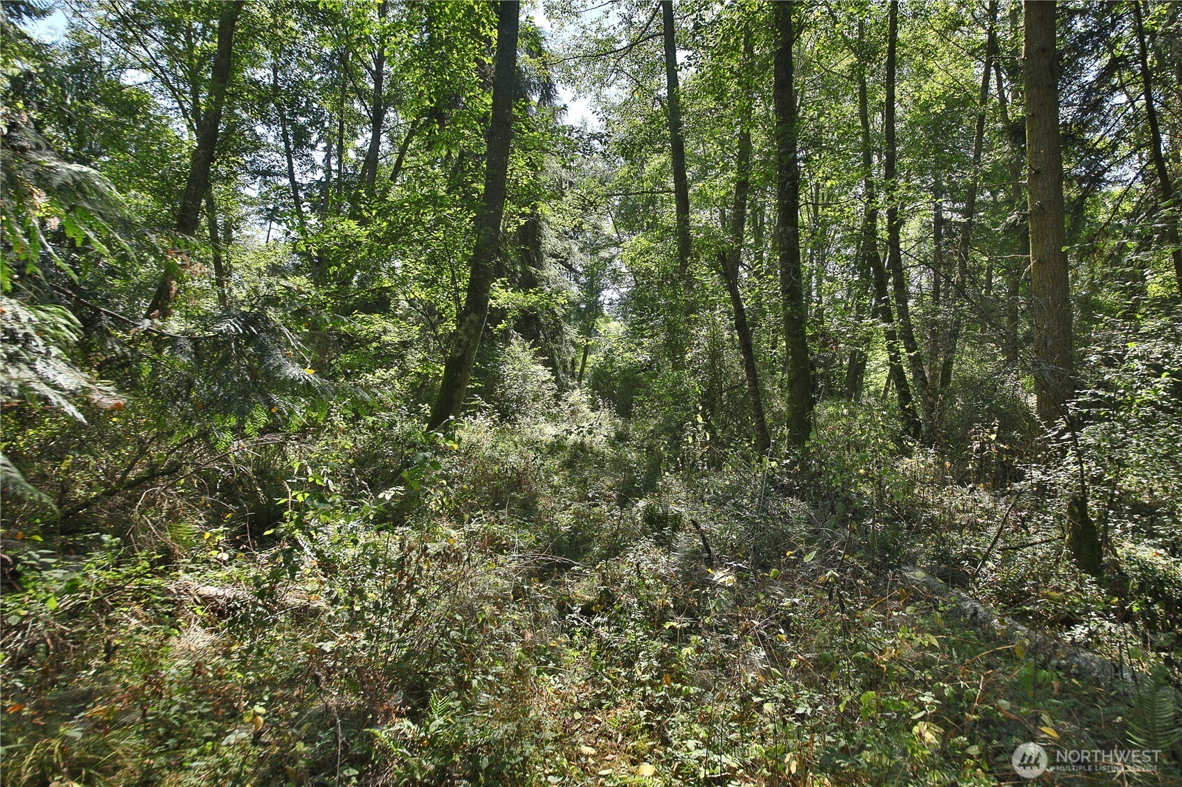 2 Scenic Avenue Property Photo 24