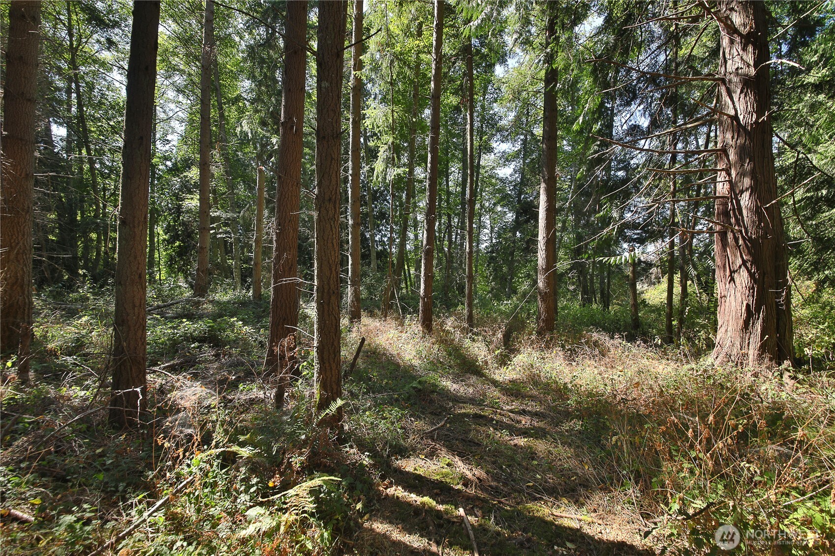 2 Scenic Avenue Property Photo 26