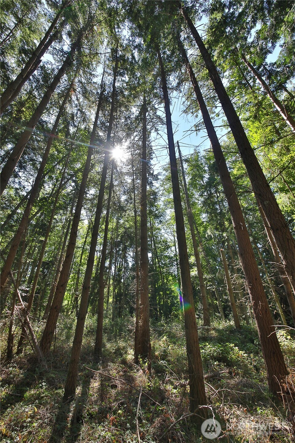 2 Scenic Avenue Property Photo 27