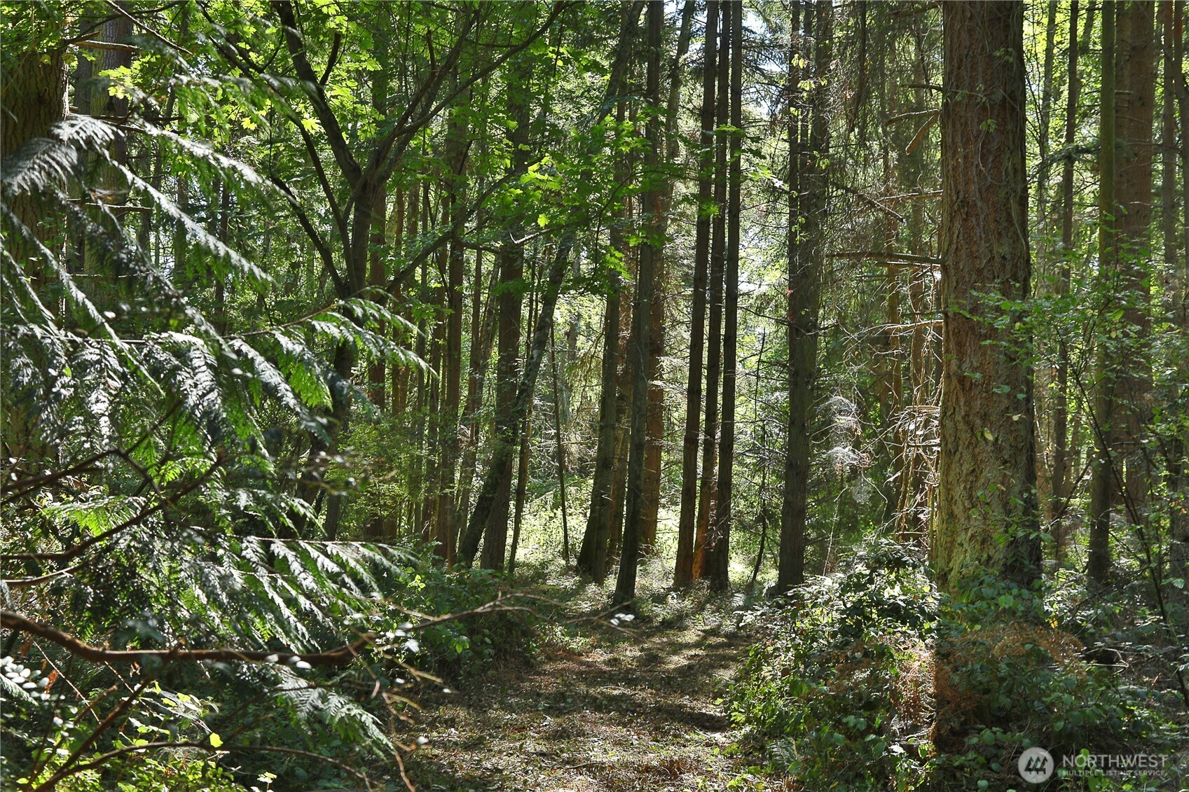 2 Scenic Avenue Property Photo 28