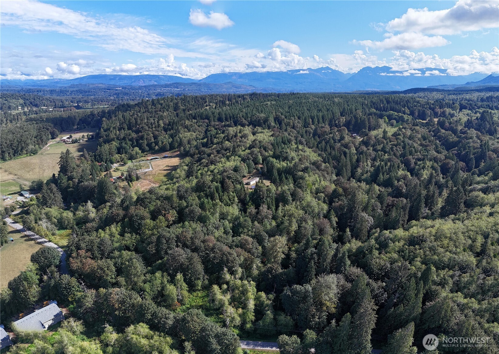 18025 Cedar Ponds Road Property Photo 13