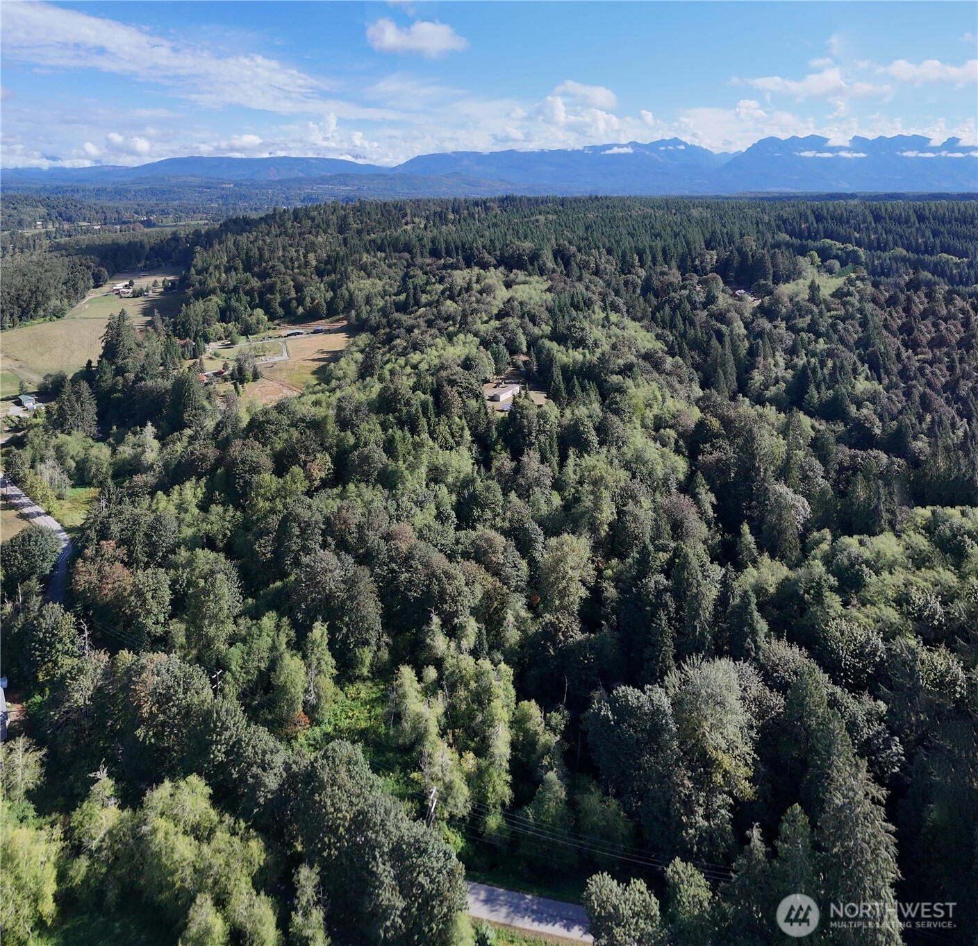 18025 Cedar Ponds Road Property Photo 14