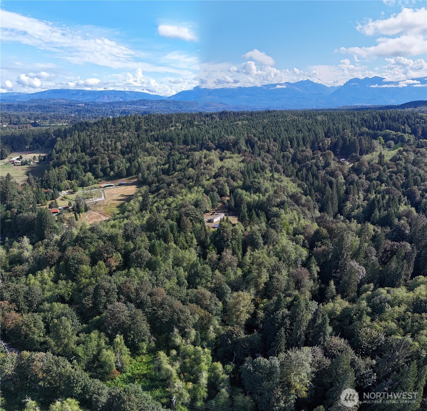 18025 Cedar Ponds Road Property Photo 23