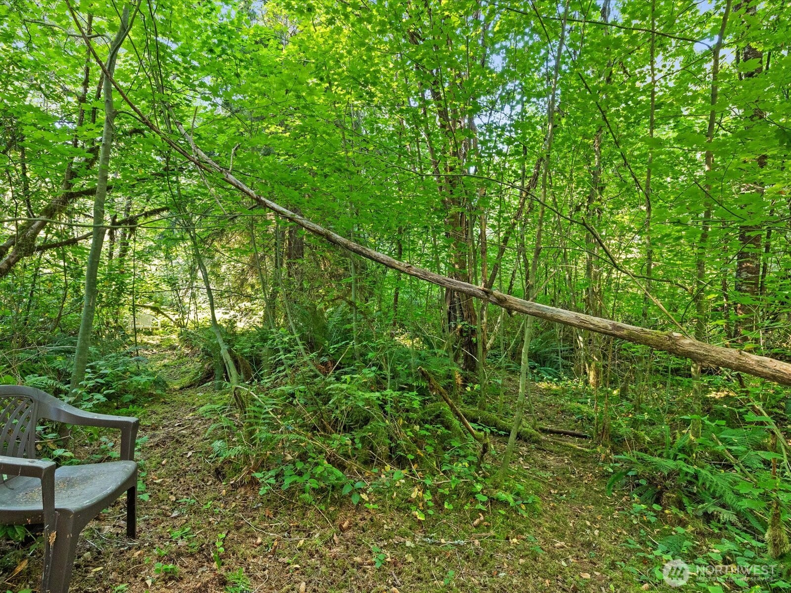 20016 Menzel Lake Road Property Photo 23