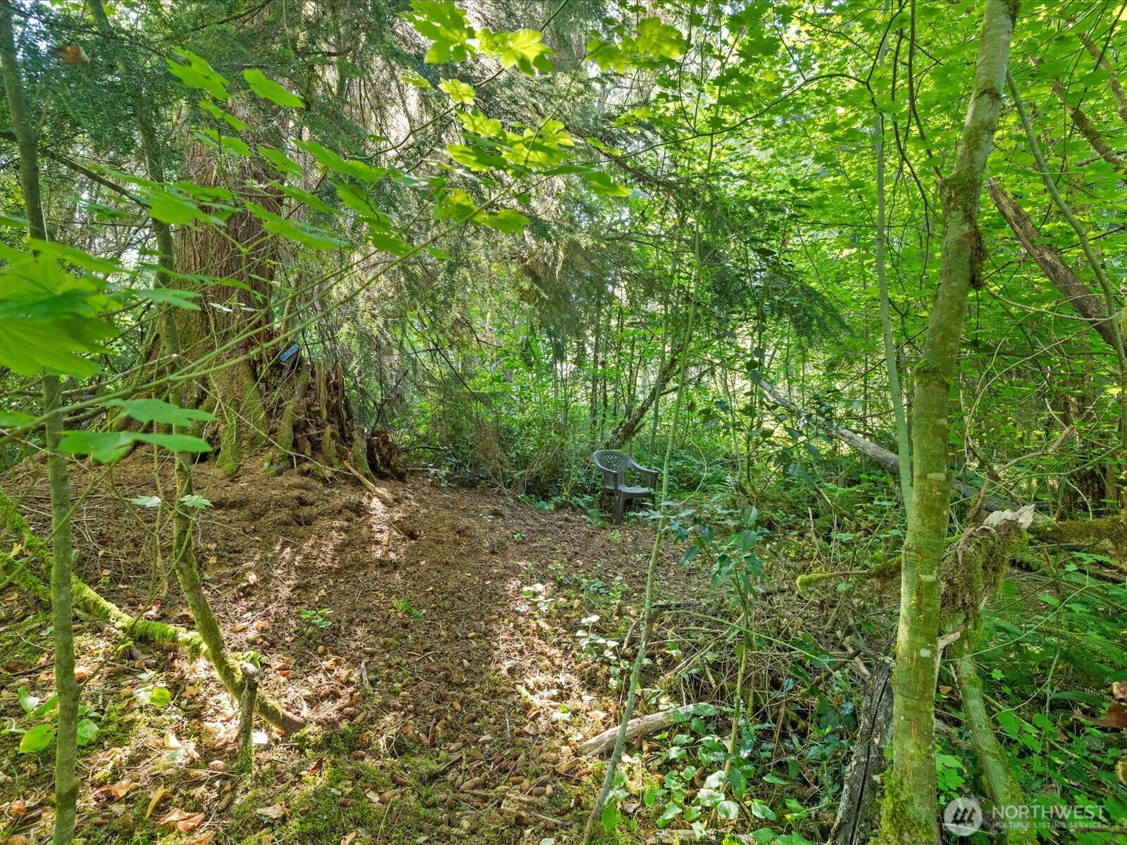 20016 Menzel Lake Road Property Photo 25