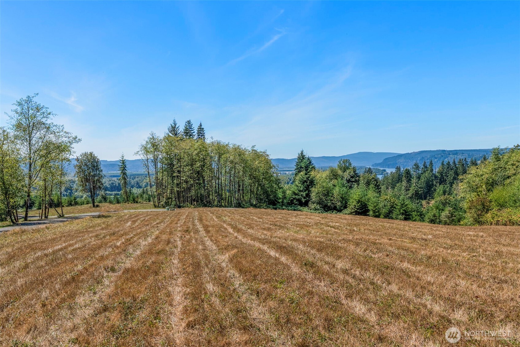 0 Old Tree Farm Drive B Property Photo 5