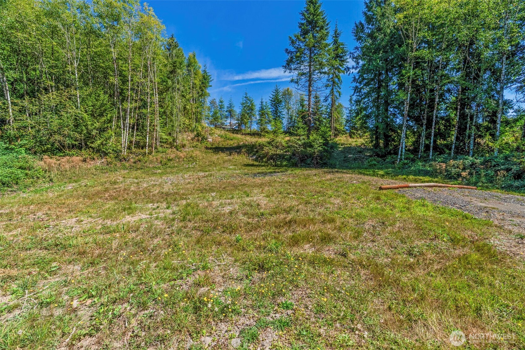 0 Old Tree Farm Drive B Property Photo 6