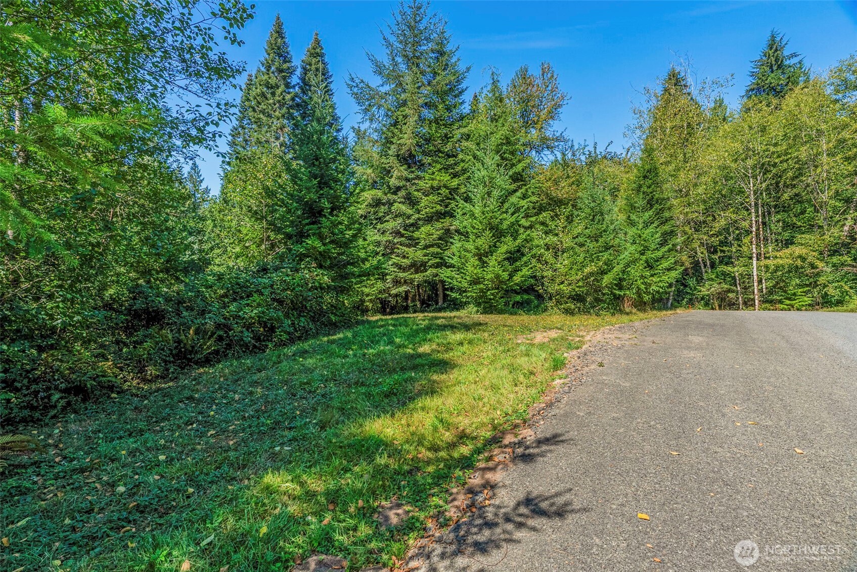 0 Old Tree Farm Drive B Property Photo 7