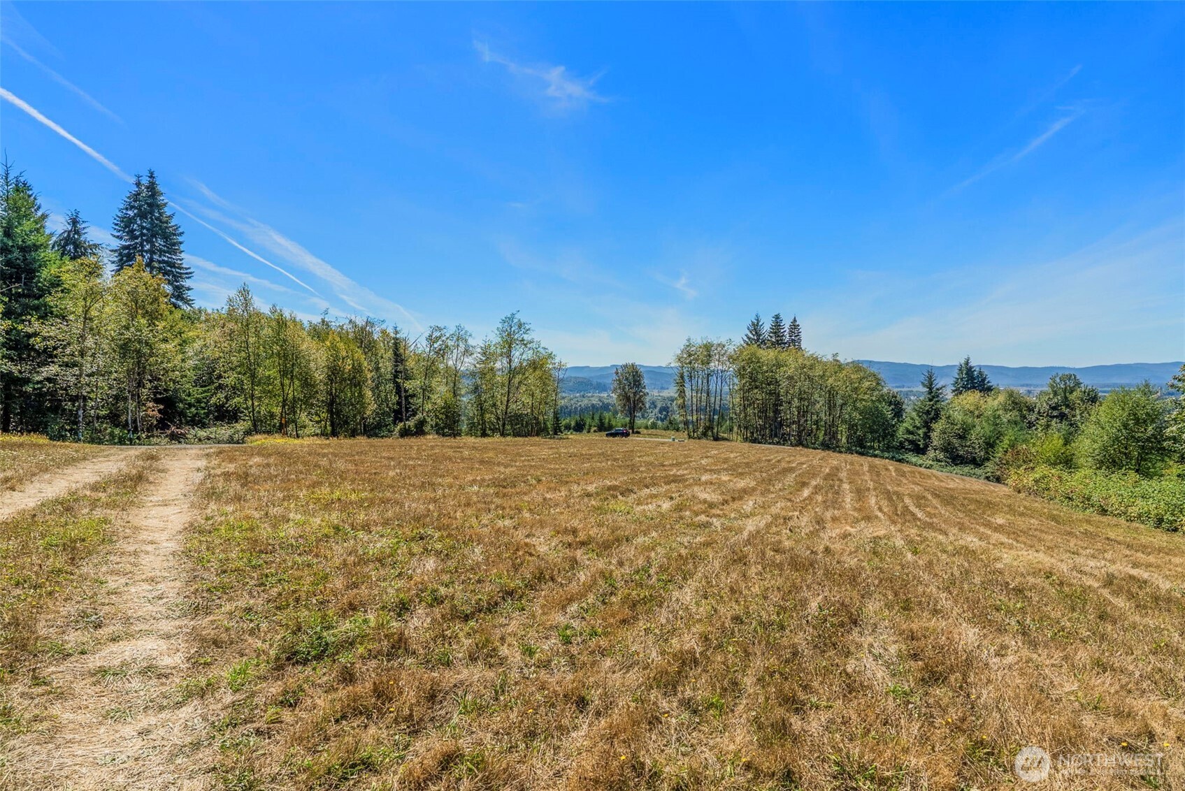 0 Old Tree Farm Drive B Property Photo 8