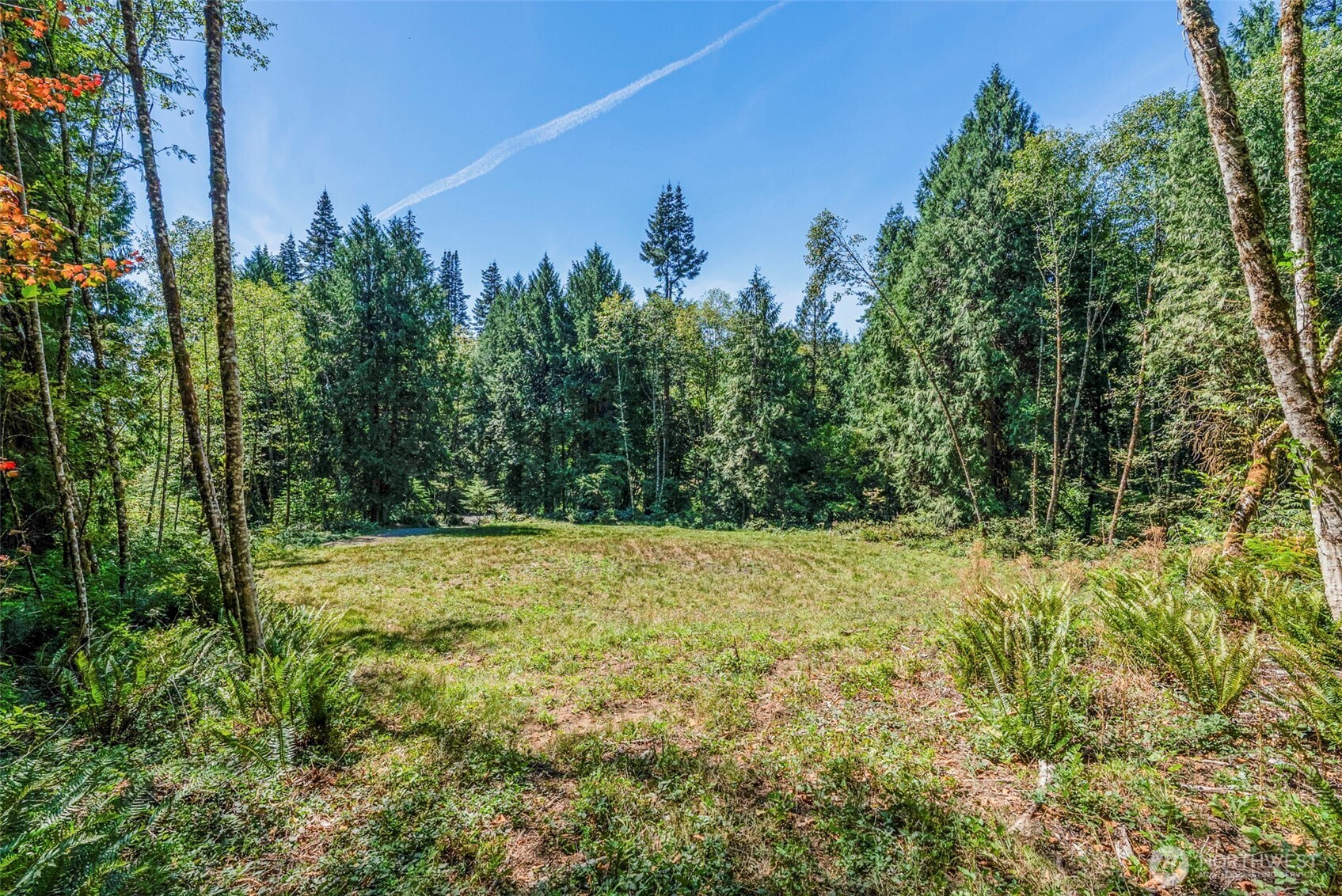 0 Old Tree Farm Drive A Property Photo 5