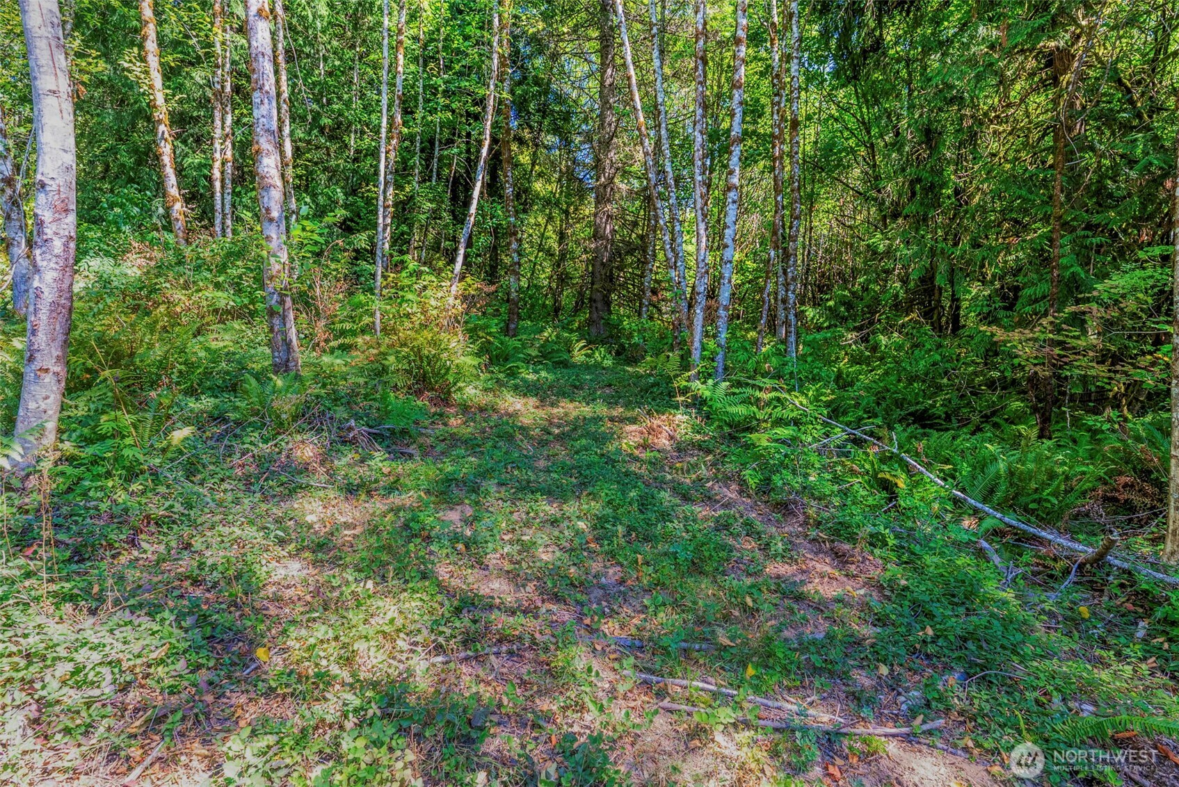 0 Old Tree Farm Drive A Property Photo 6