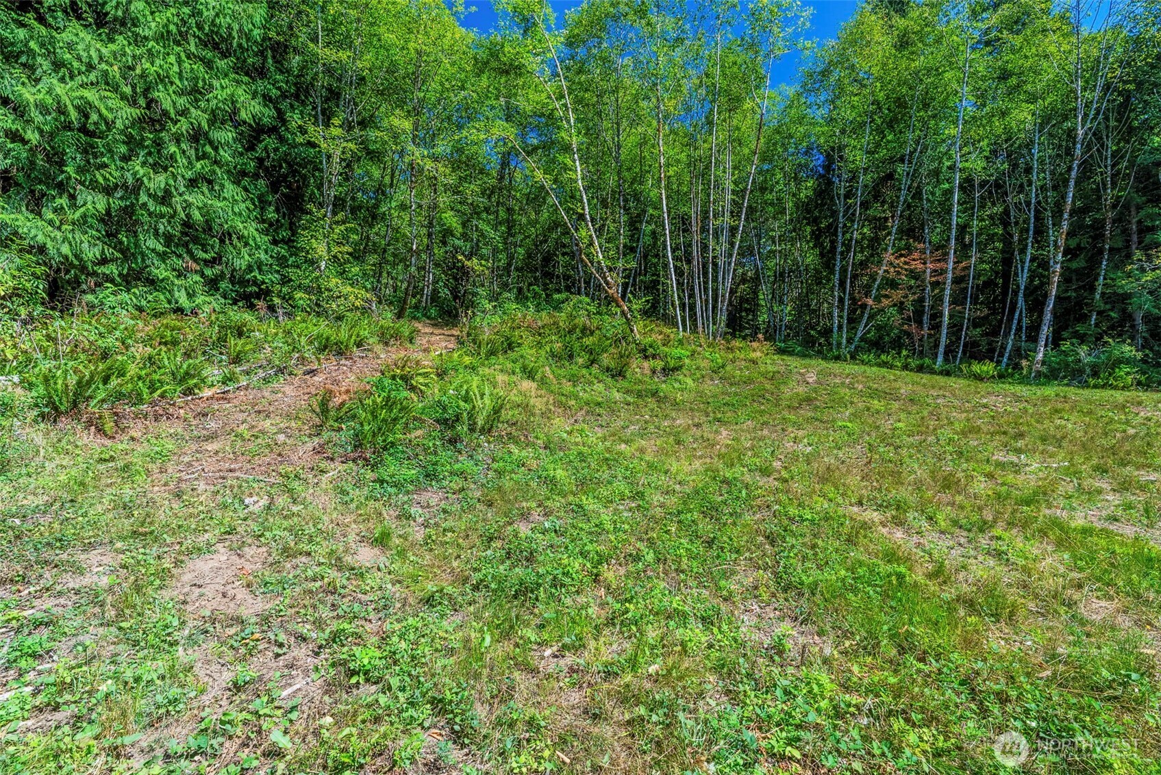 0 Old Tree Farm Drive A Property Photo 7
