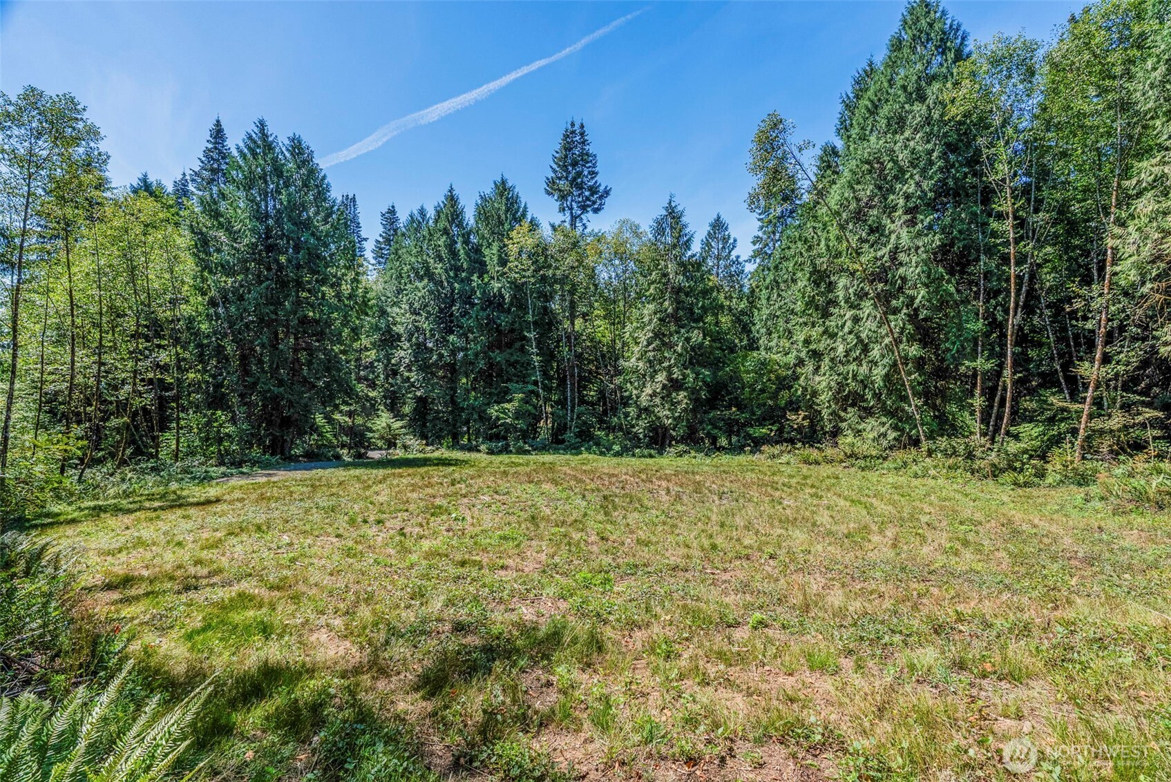 0 Old Tree Farm Drive A Property Photo 8