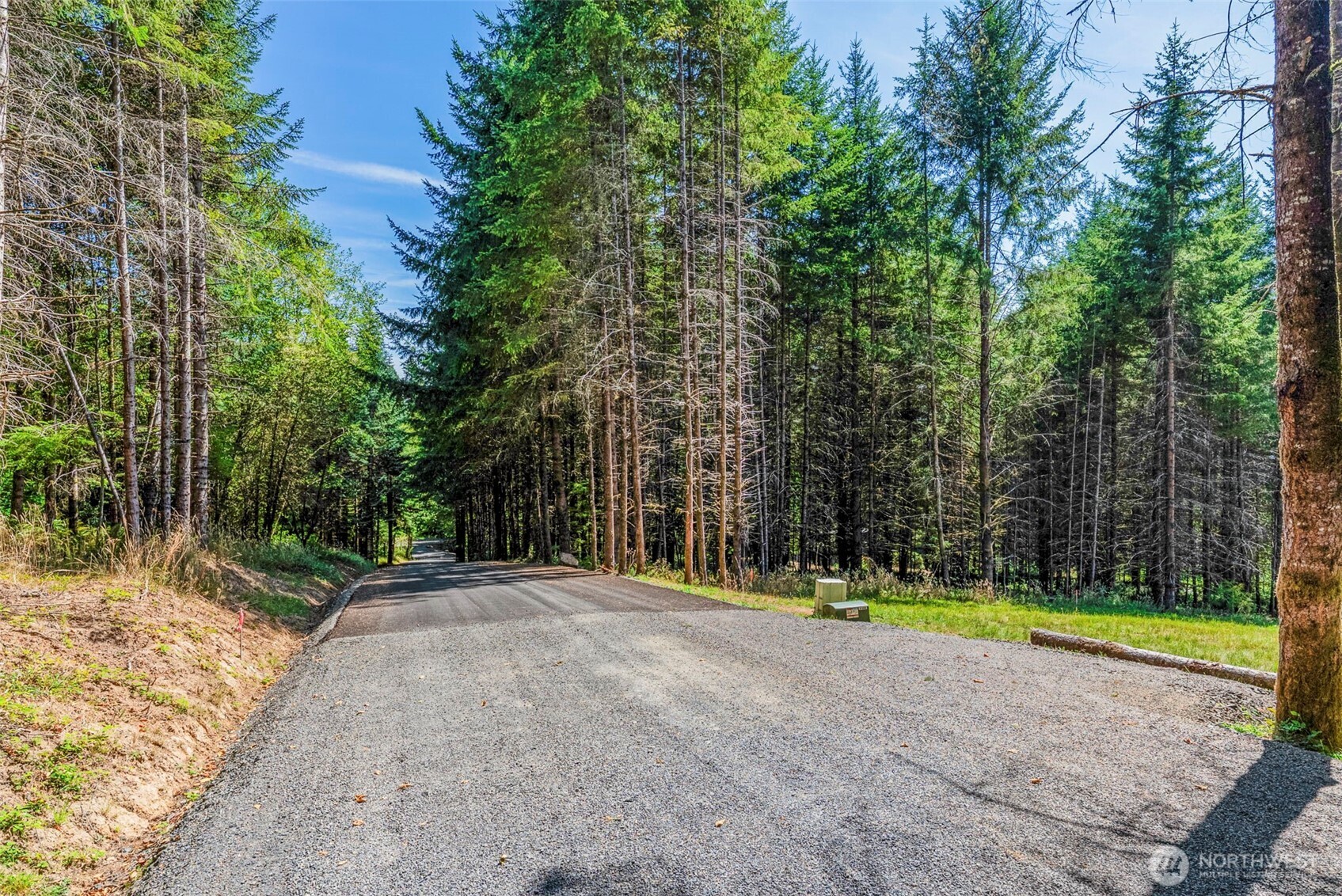 0 Old Tree Farm Drive A Property Photo 9