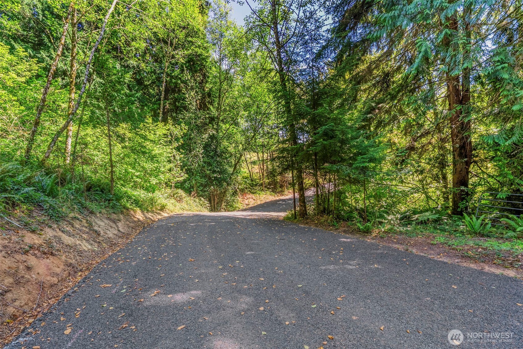 0 Old Tree Farm Drive A Property Photo 10