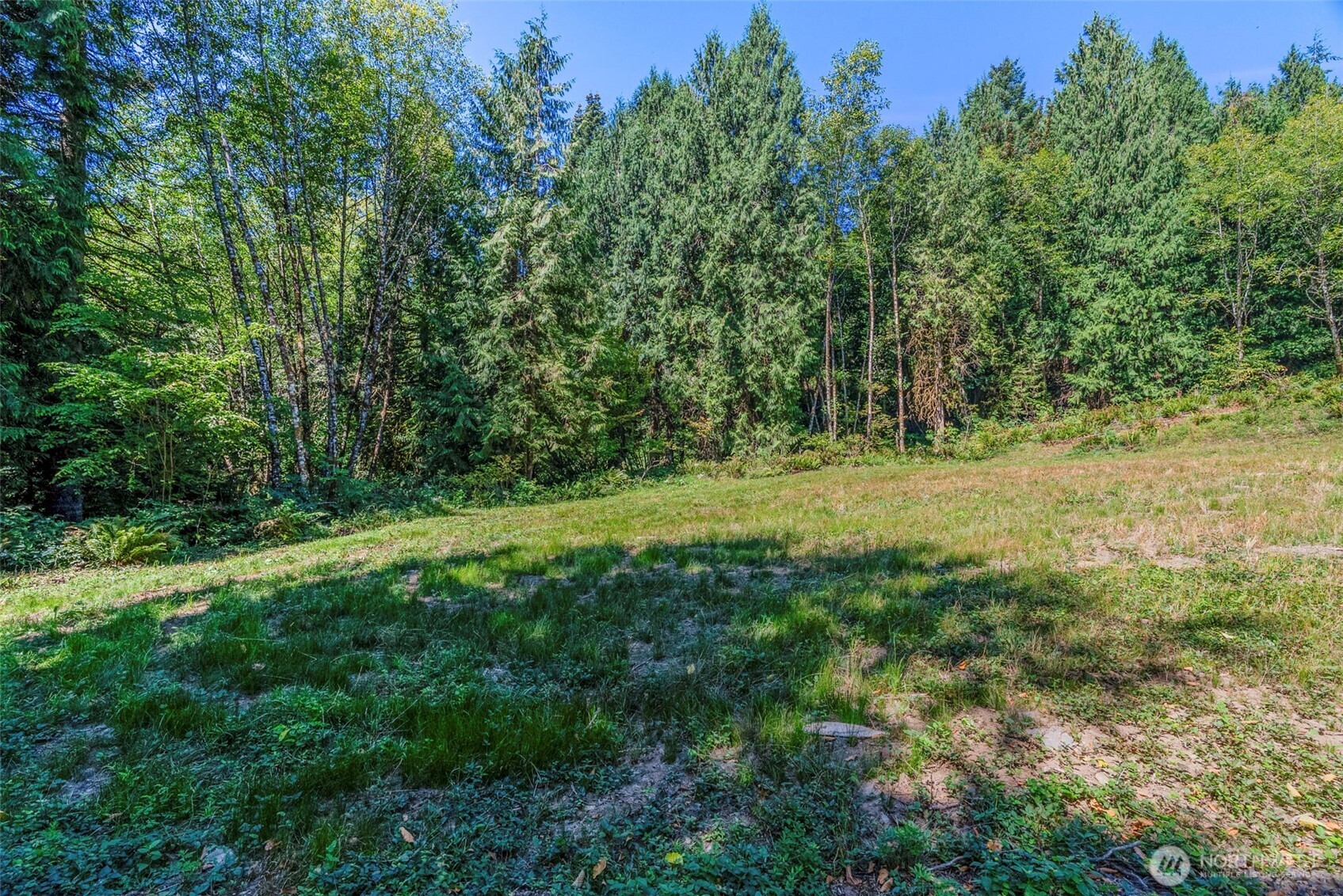0 Old Tree Farm Drive A Property Photo 12