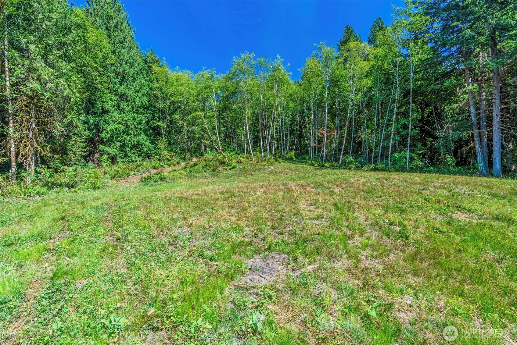 0 Old Tree Farm Drive A Property Photo 13