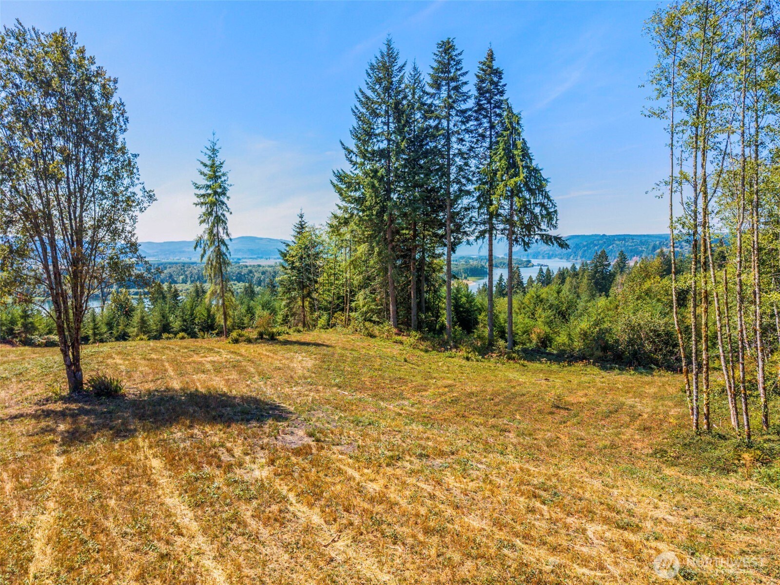 0 Old Tree Farm Drive C Property Photo 2