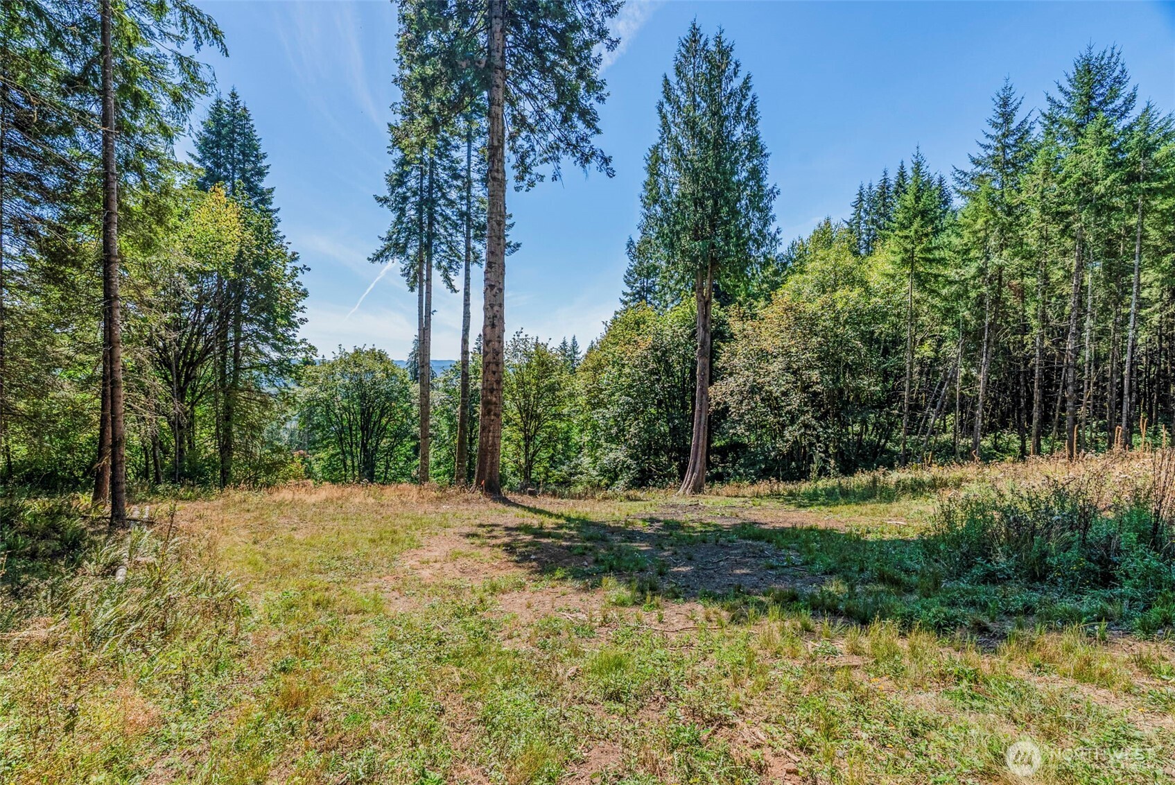 0 Old Tree Farm Drive C Property Photo 3