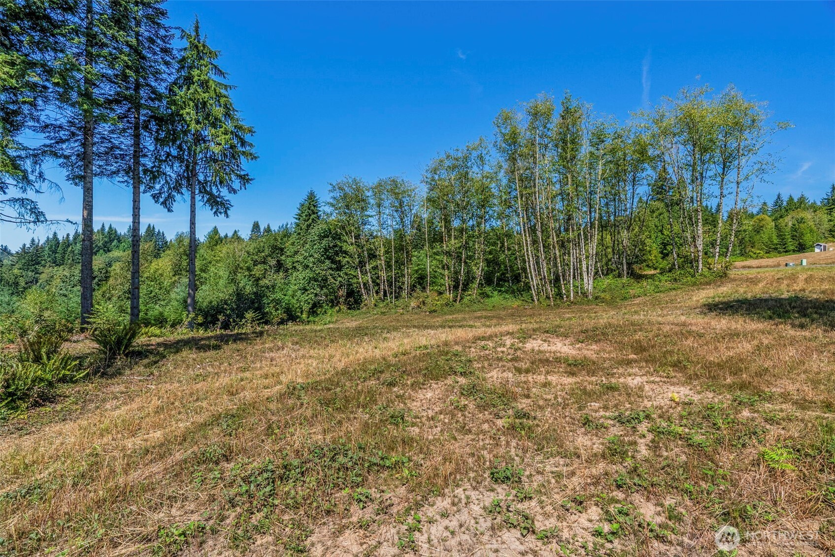0 Old Tree Farm Drive C Property Photo 7