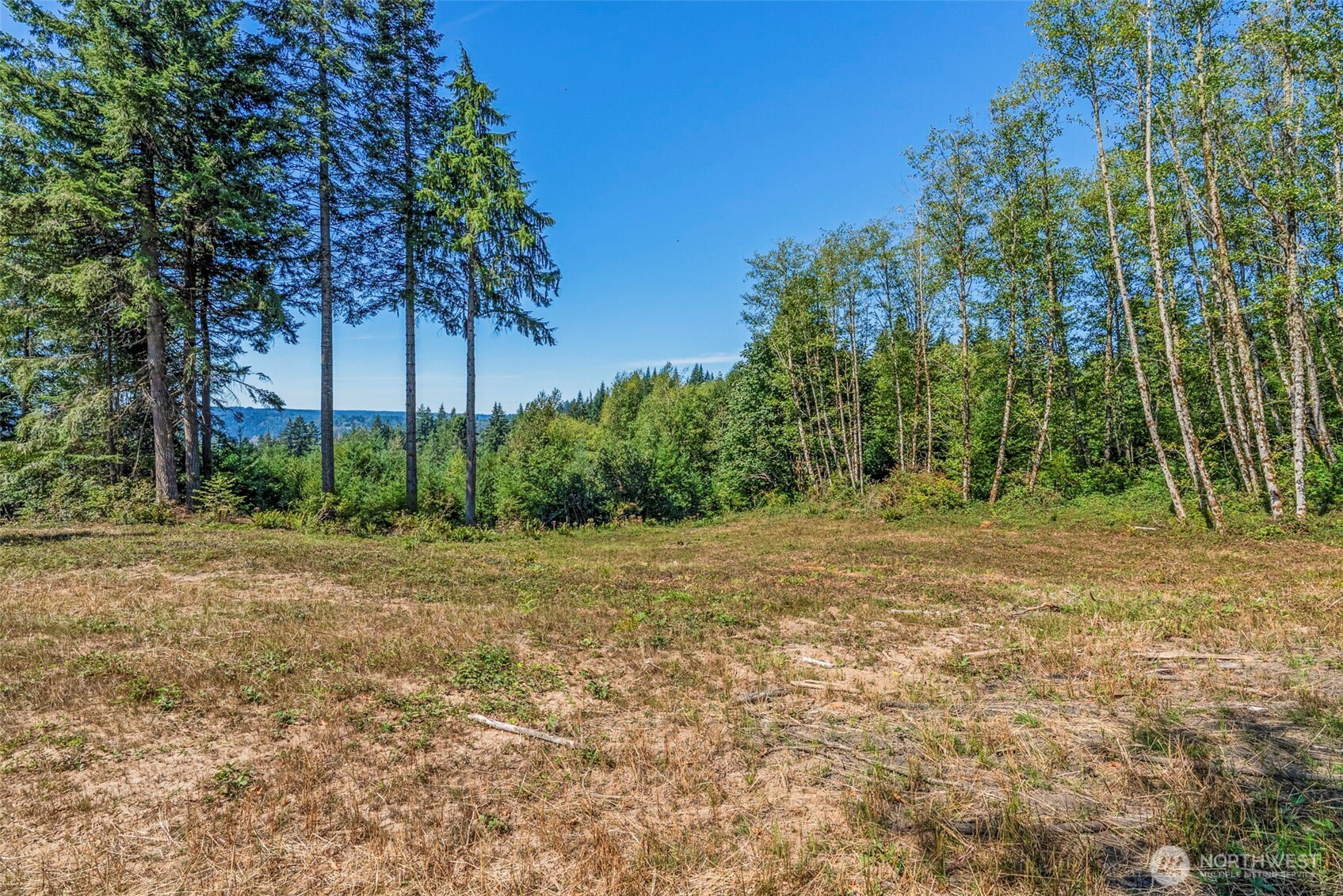 0 Old Tree Farm Drive C Property Photo 8