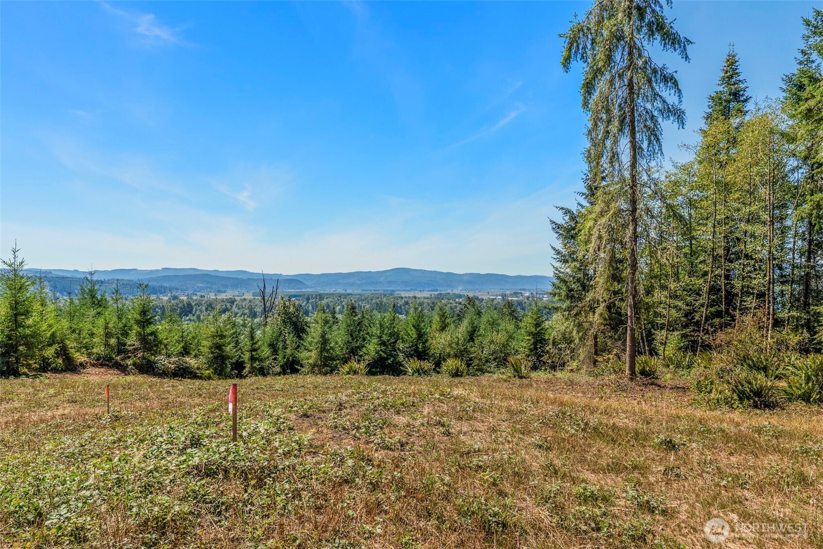0 Old Tree Farm Drive C Property Photo 9