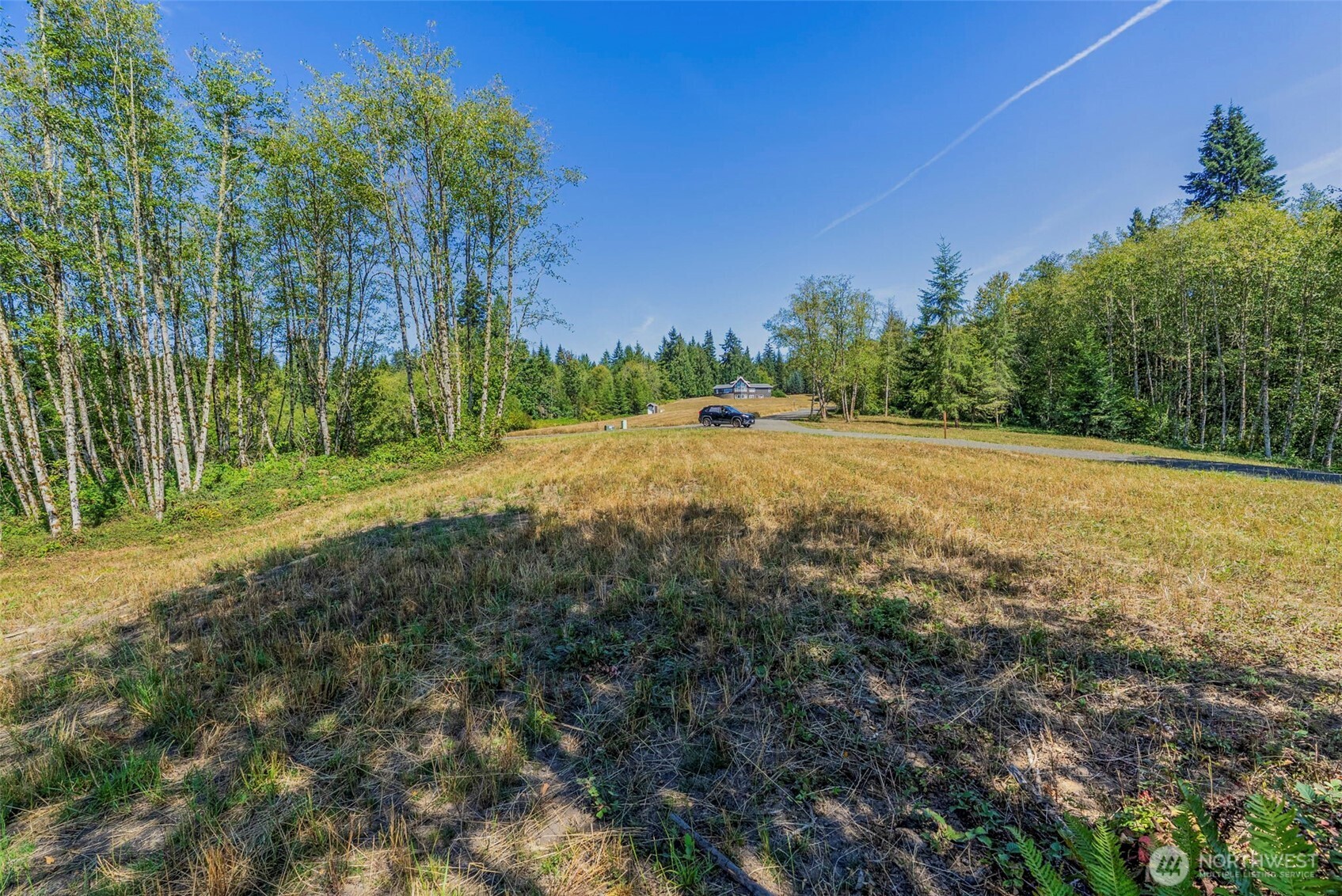 0 Old Tree Farm Drive C Property Photo 10