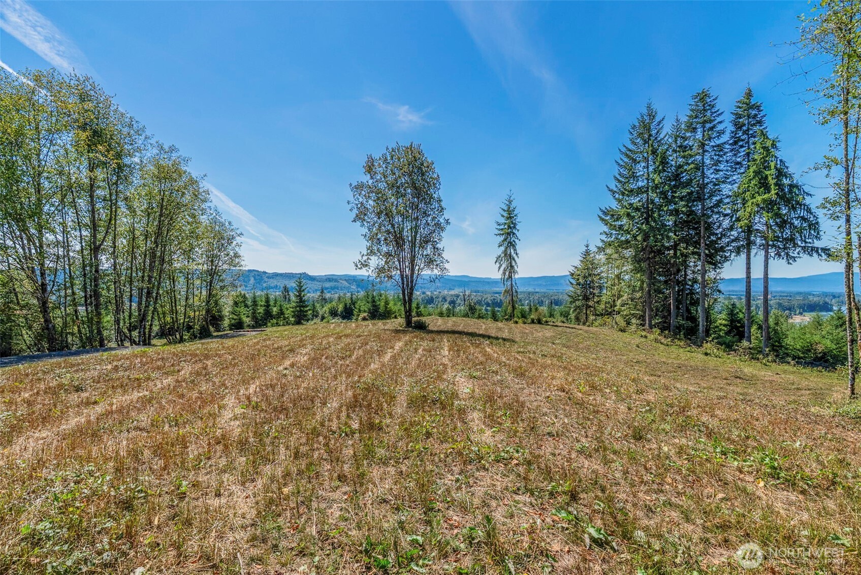 0 Old Tree Farm Drive C Property Photo 11