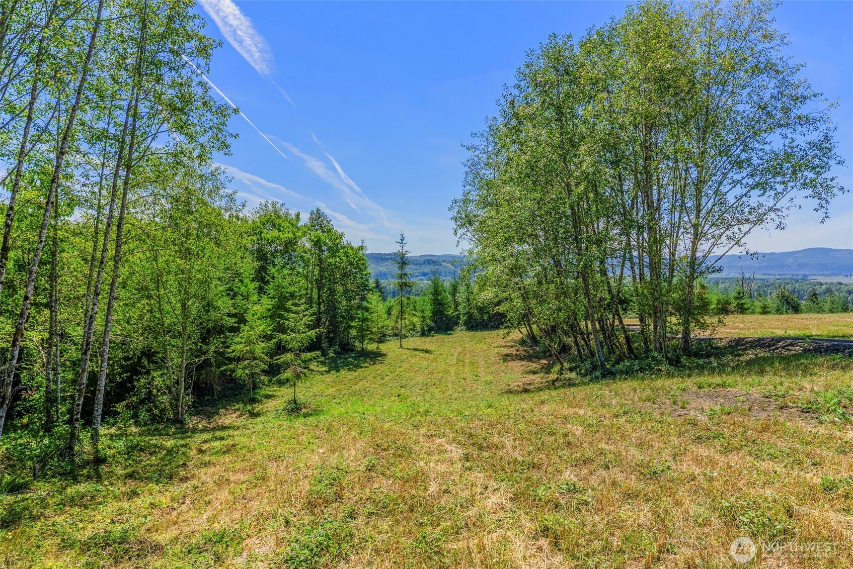 0 Old Tree Farm Drive D Property Photo 2