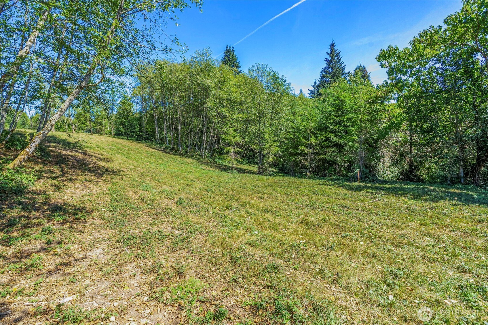 0 Old Tree Farm Drive D Property Photo 3